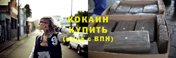 соль ск Абаза