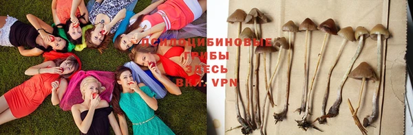 apvp Абдулино