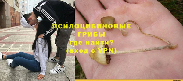 соль ск Абаза