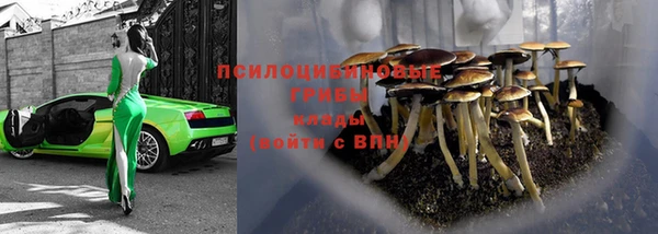 apvp Абдулино