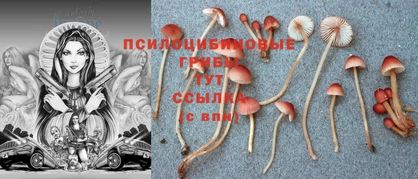 apvp Абдулино