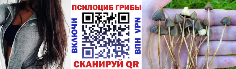 ссылка на мегу рабочий сайт  где купить   Благовещенск  Псилоцибиновые грибы ЛСД 